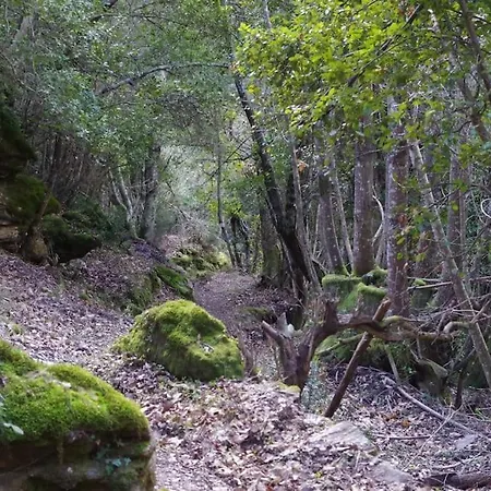 Studio Entre Et Montagne Διαμέρισμα *