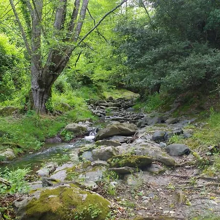 Studio Entre Et Montagne Taglio-Isolaccio